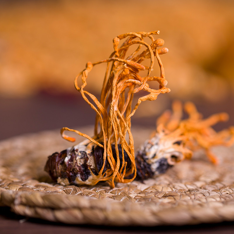 O1CN01pdKT4H1hBxuwn23Ol_!!2137254240.jpg_800x800q90.jpg O1CN01pdKT4H1hBxuwn23Ol_!!2137254240.jpg_800x800q90.jpg