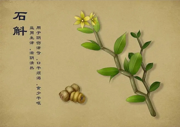 石斛.png